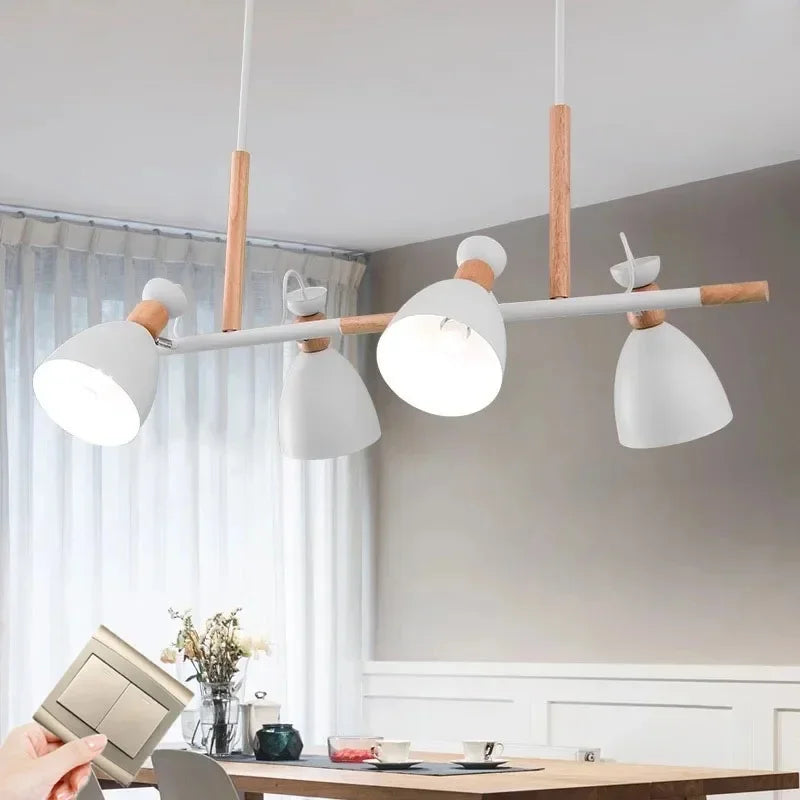 Lampadario nordico luminoso elegante contemporaneo