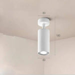 Spot Led Orientable Cylindrique Exhibition Blanc / Chaude Luminaire Chambre
