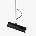 Spot Orientable Doré Avec Tige. Noir / Froide Luminaire Chambre